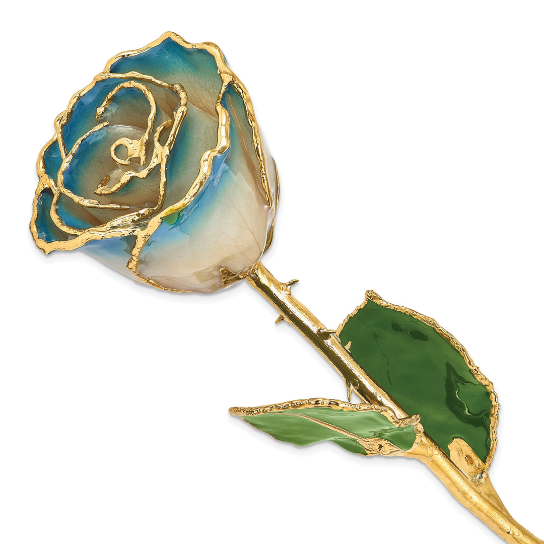 24k Gold Plated Trim White Navy Blue Pearl Rose