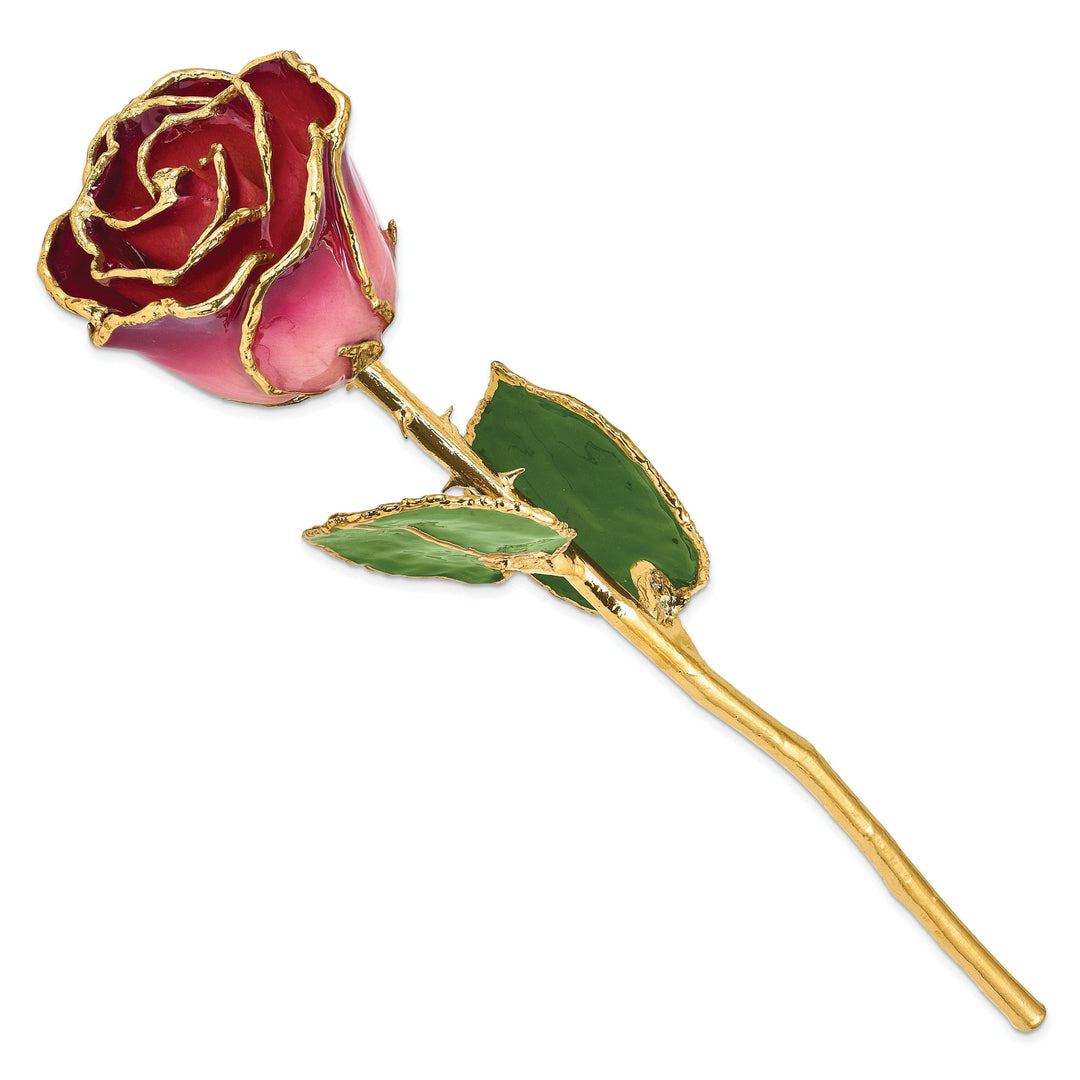 24k Gold Plated Trim Pink and Burgundy Rose