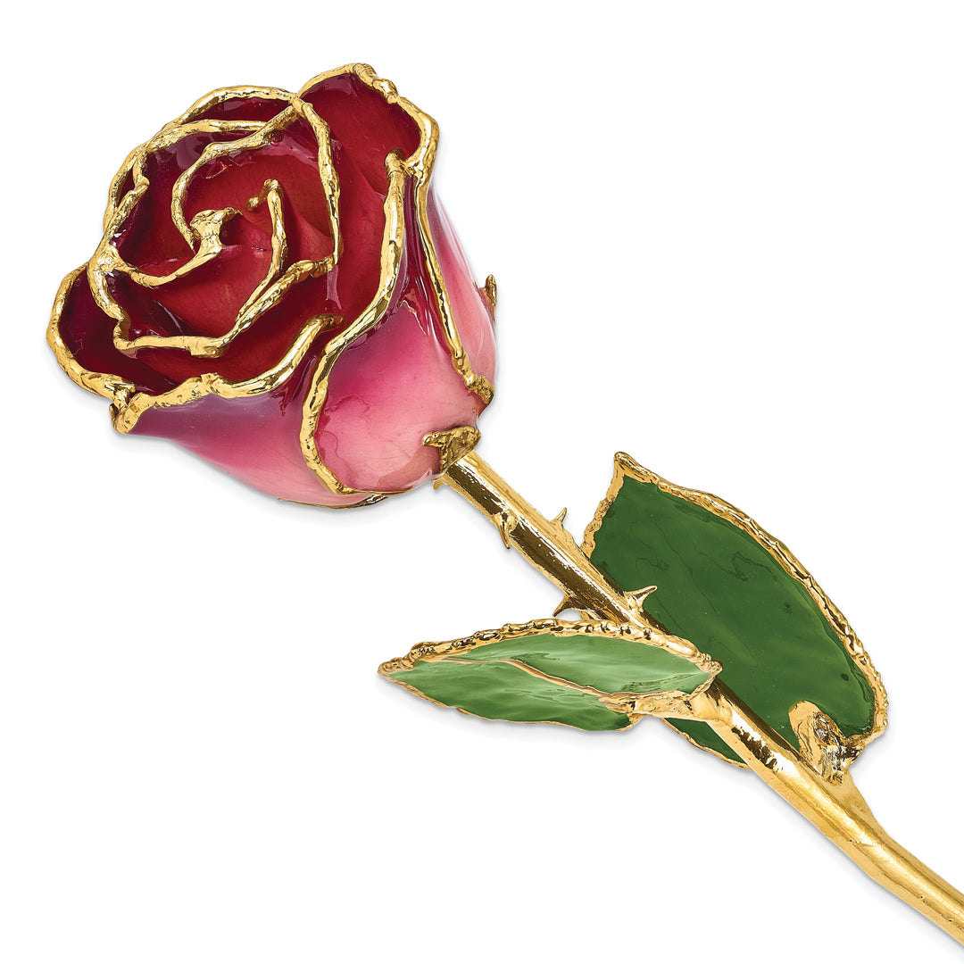 24k Gold Plated Trim Pink and Burgundy Rose