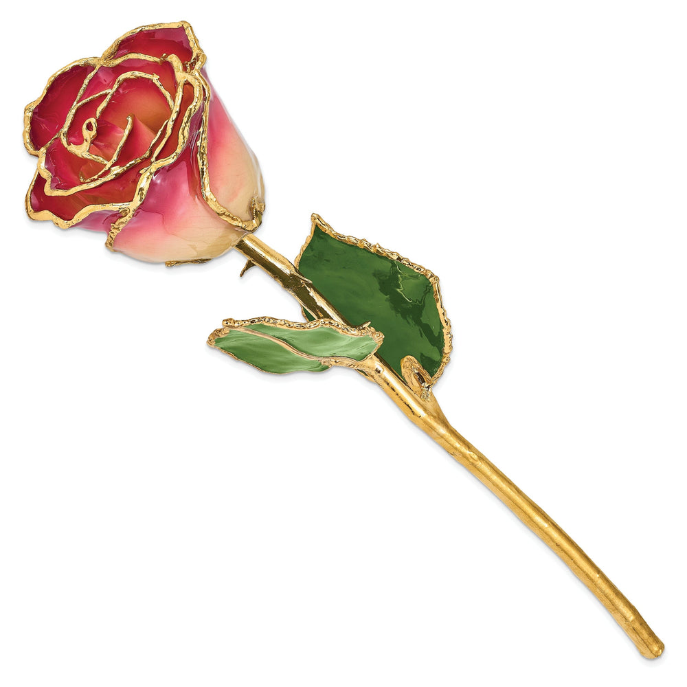 24k Gold Plated Trim White and Burgundy Rose