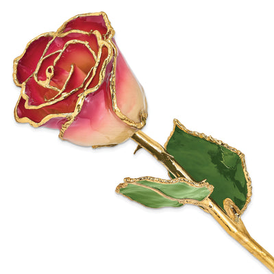24k Gold Plated Trim White and Burgundy Rose