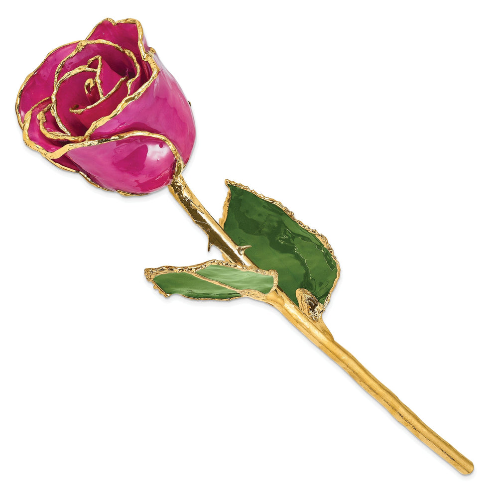 24k Gold Plated Trim Fuchsia Rose