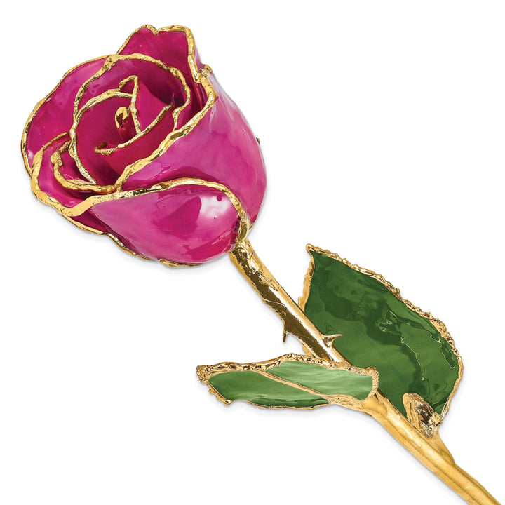 24k Gold Plated Trim Fuchsia Rose