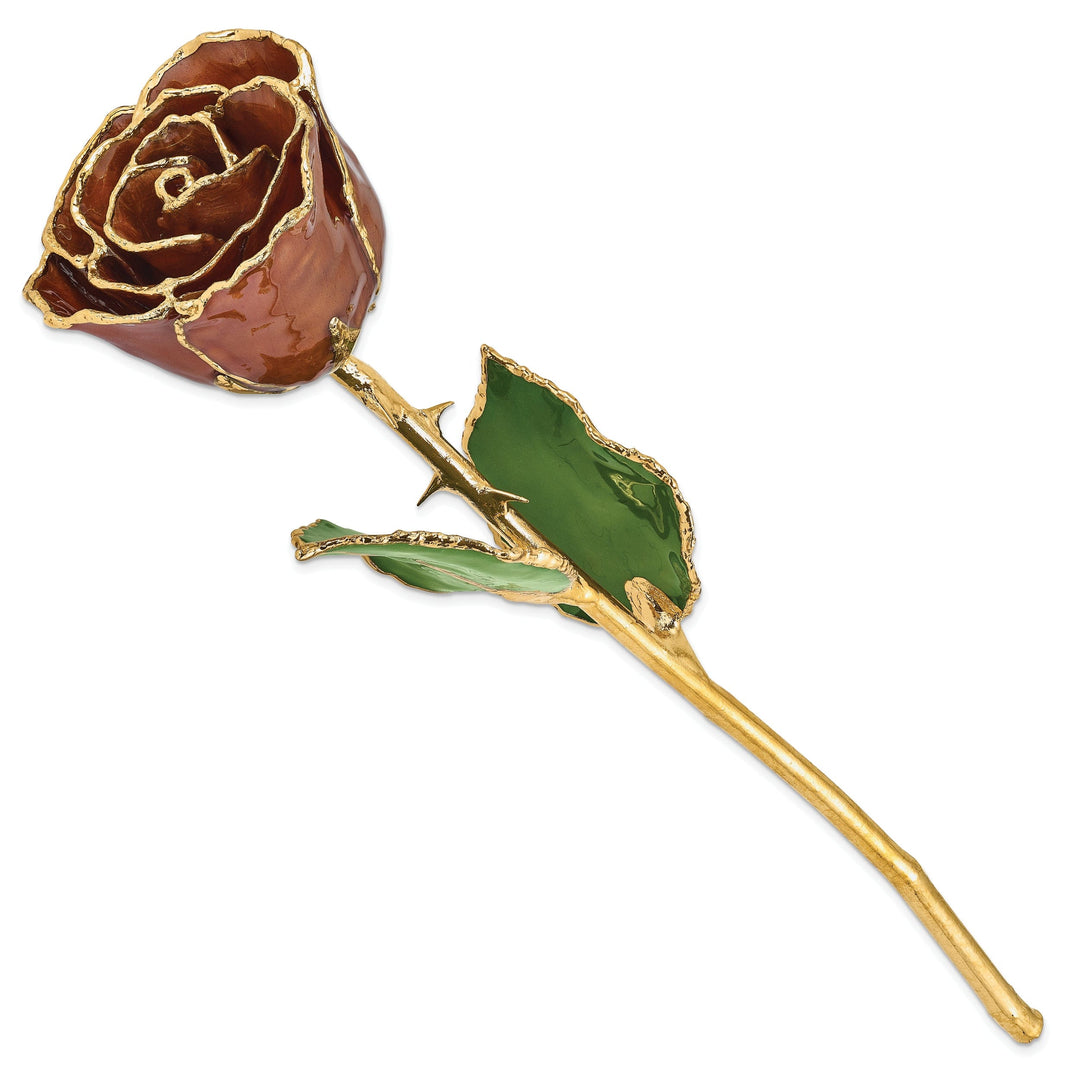 24k Gold Plated Trim Cinnamon Pearl Rose