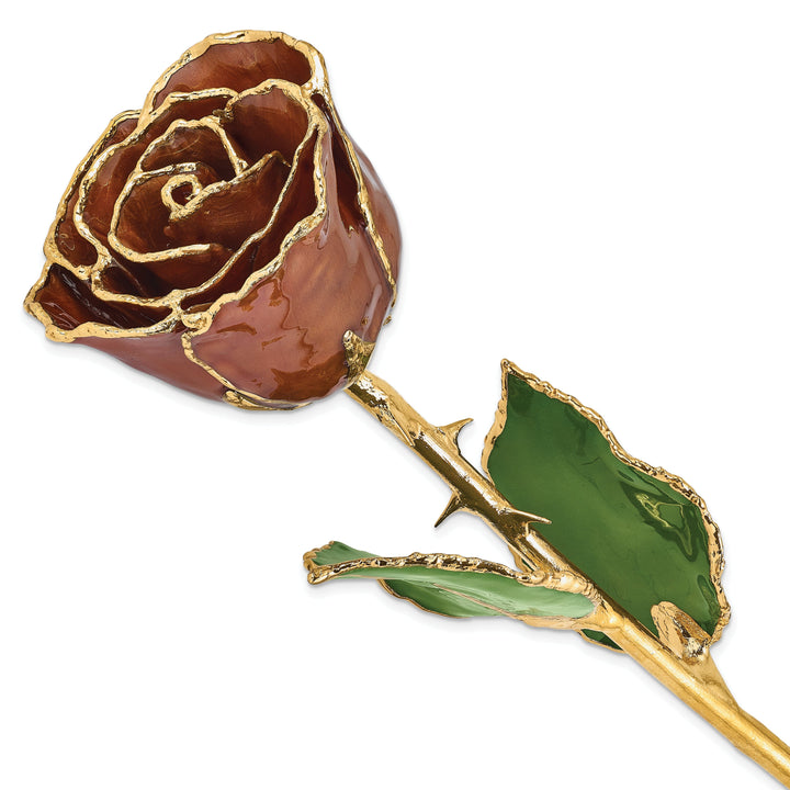 24k Gold Plated Trim Cinnamon Pearl Rose