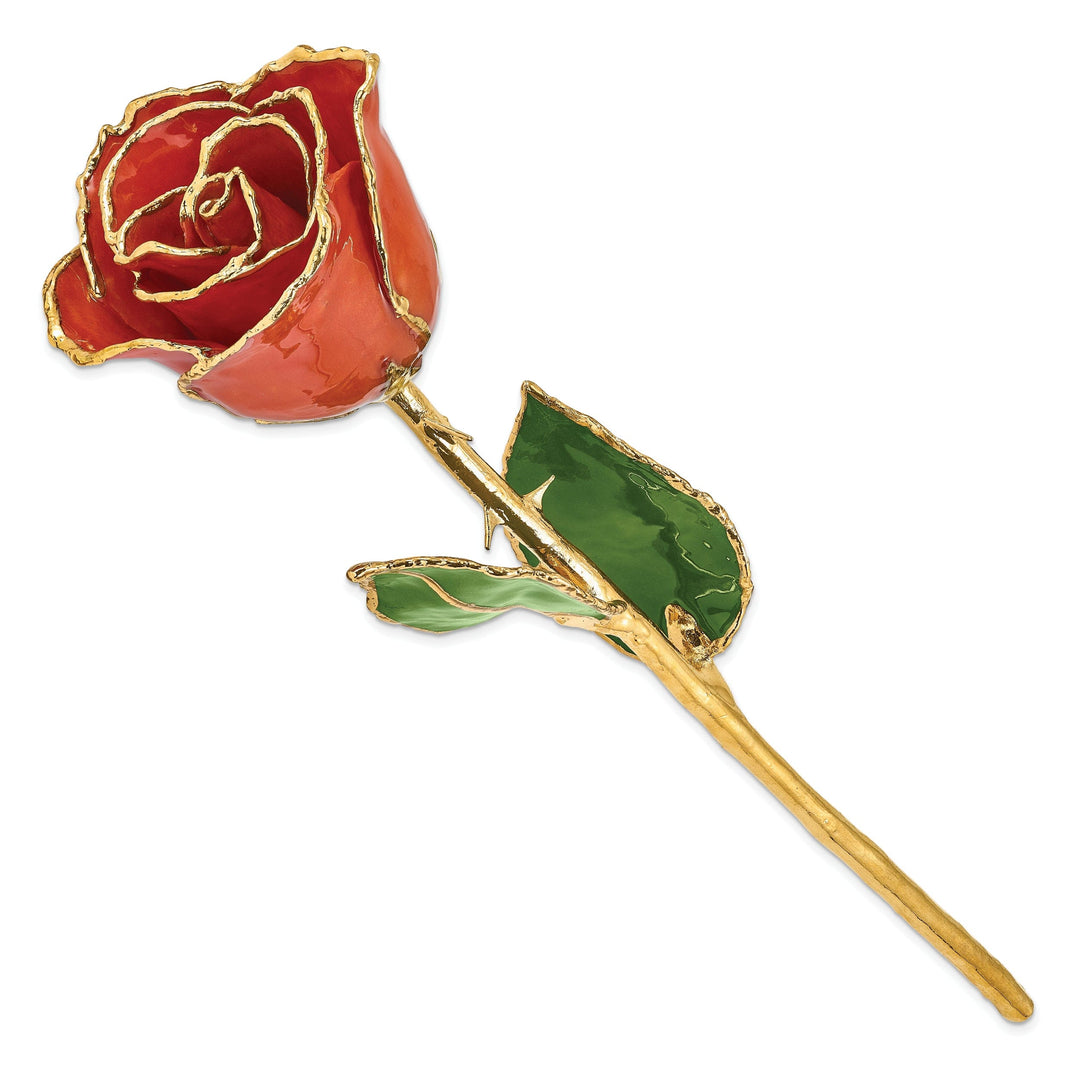 24k Gold Plated Trim Sonia Pearl Rose