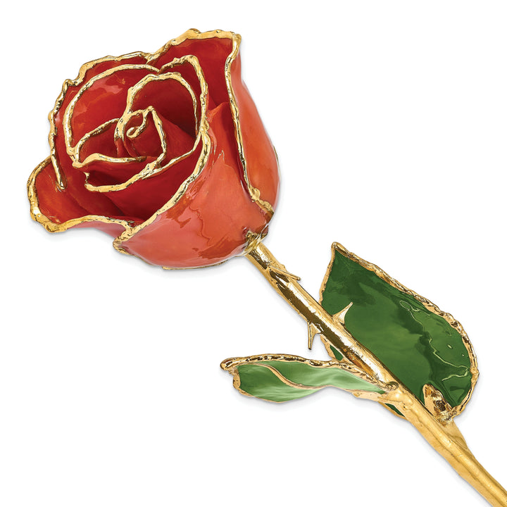 24k Gold Plated Trim Sonia Pearl Rose