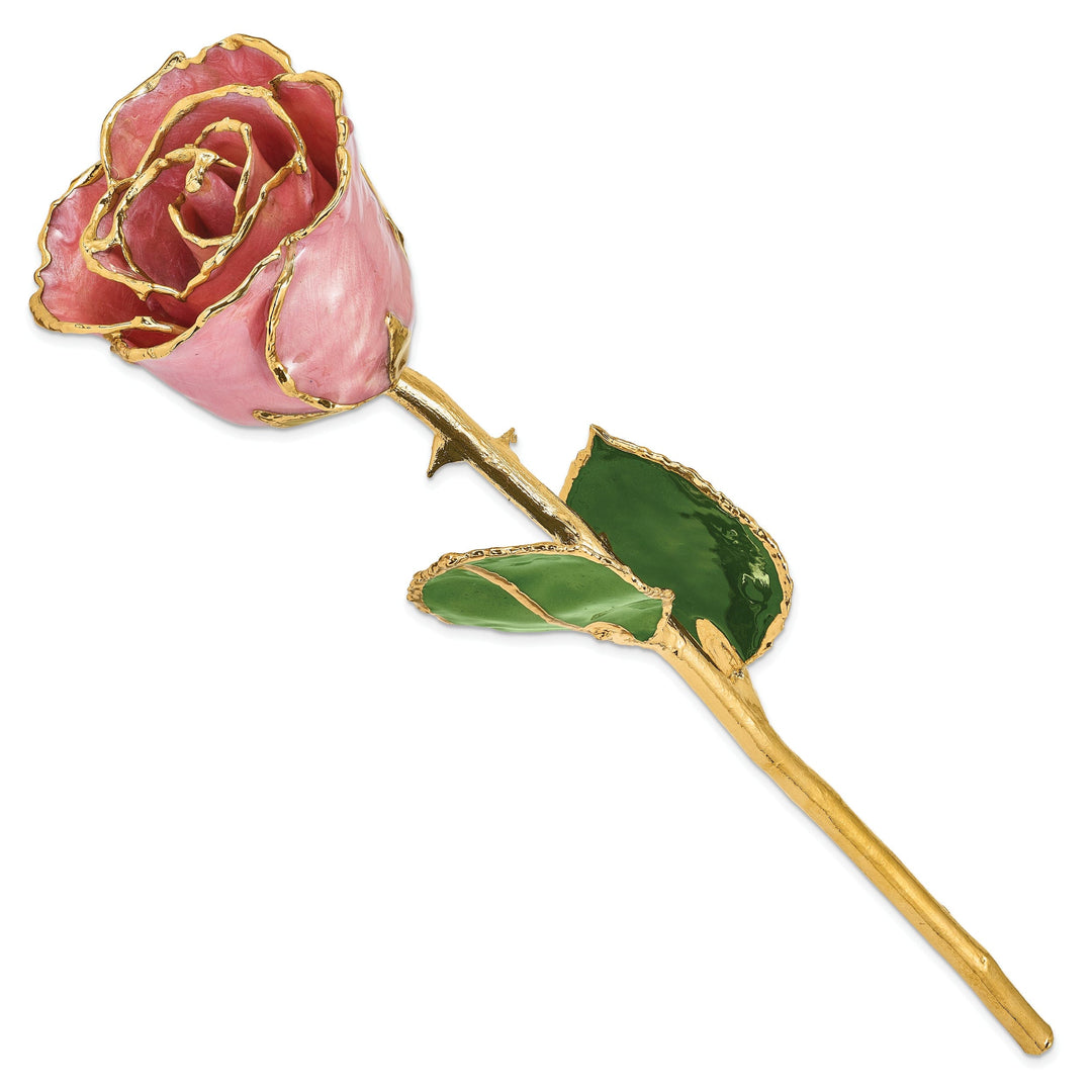 24k Gold Plated Trim Dusty Pink Rose