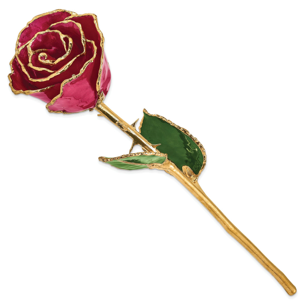 24k Gold Plated Trim Ruby Sun Rose