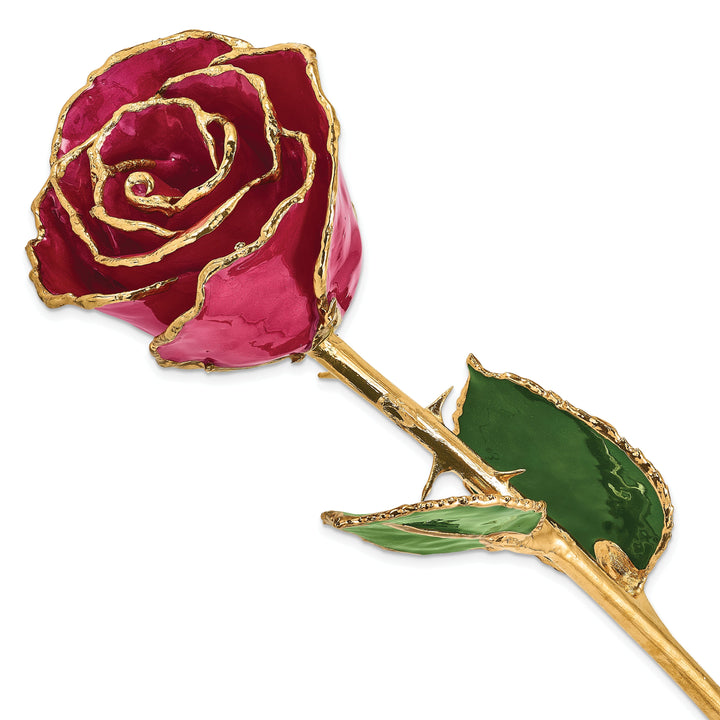 24k Gold Plated Trim Ruby Sun Rose