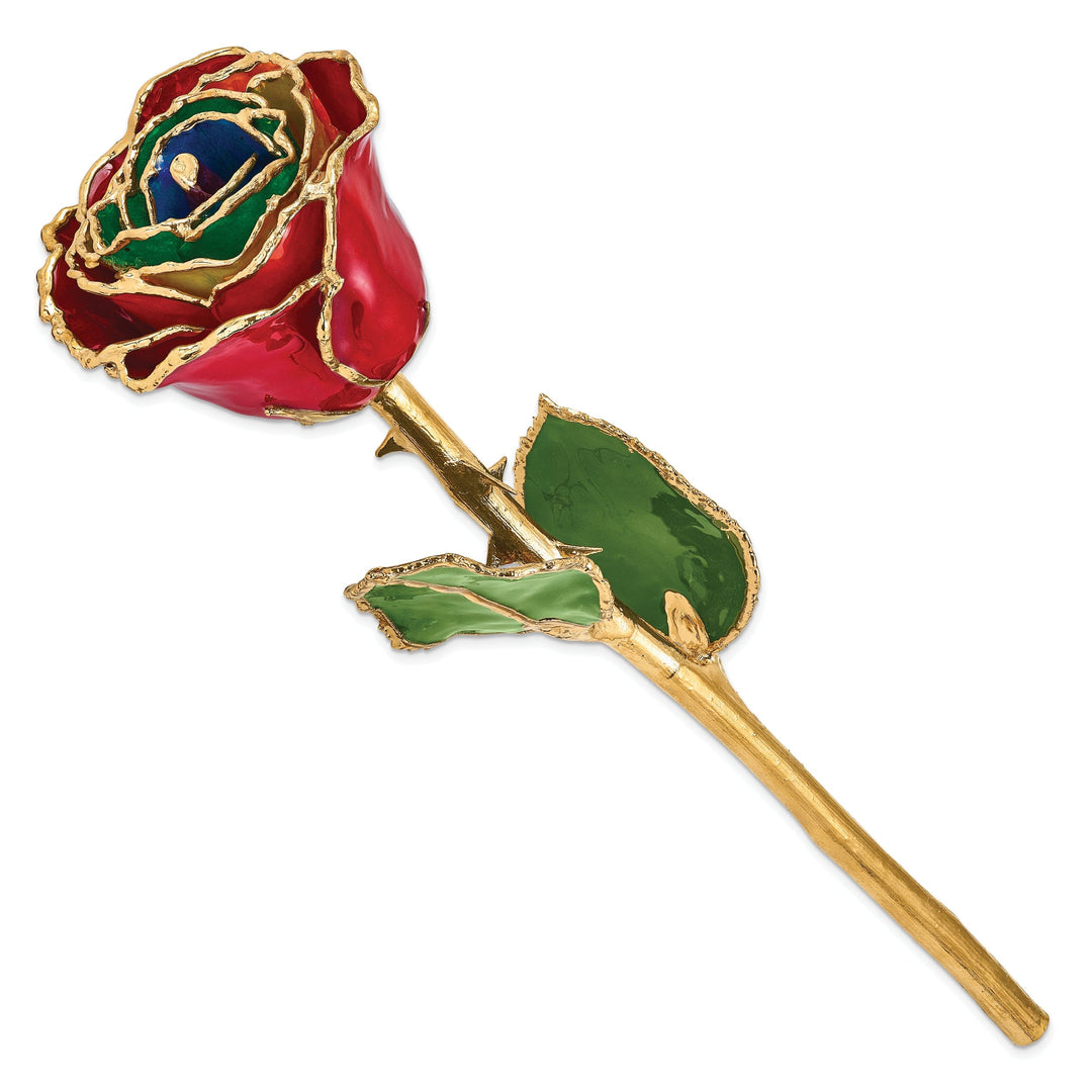 24k Gold Plated Trim Gypsy Rainbow Rose