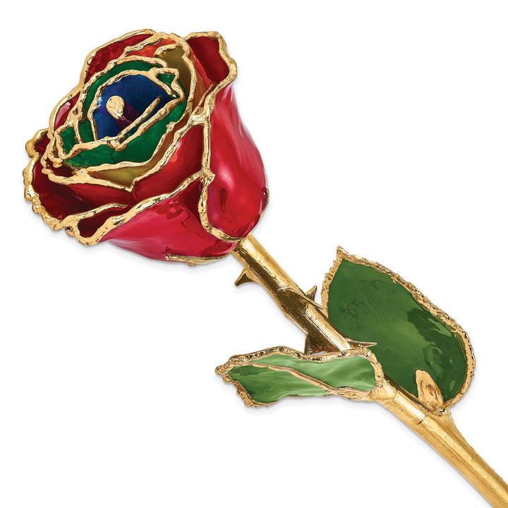 24k Gold Plated Trim Gypsy Rainbow Rose