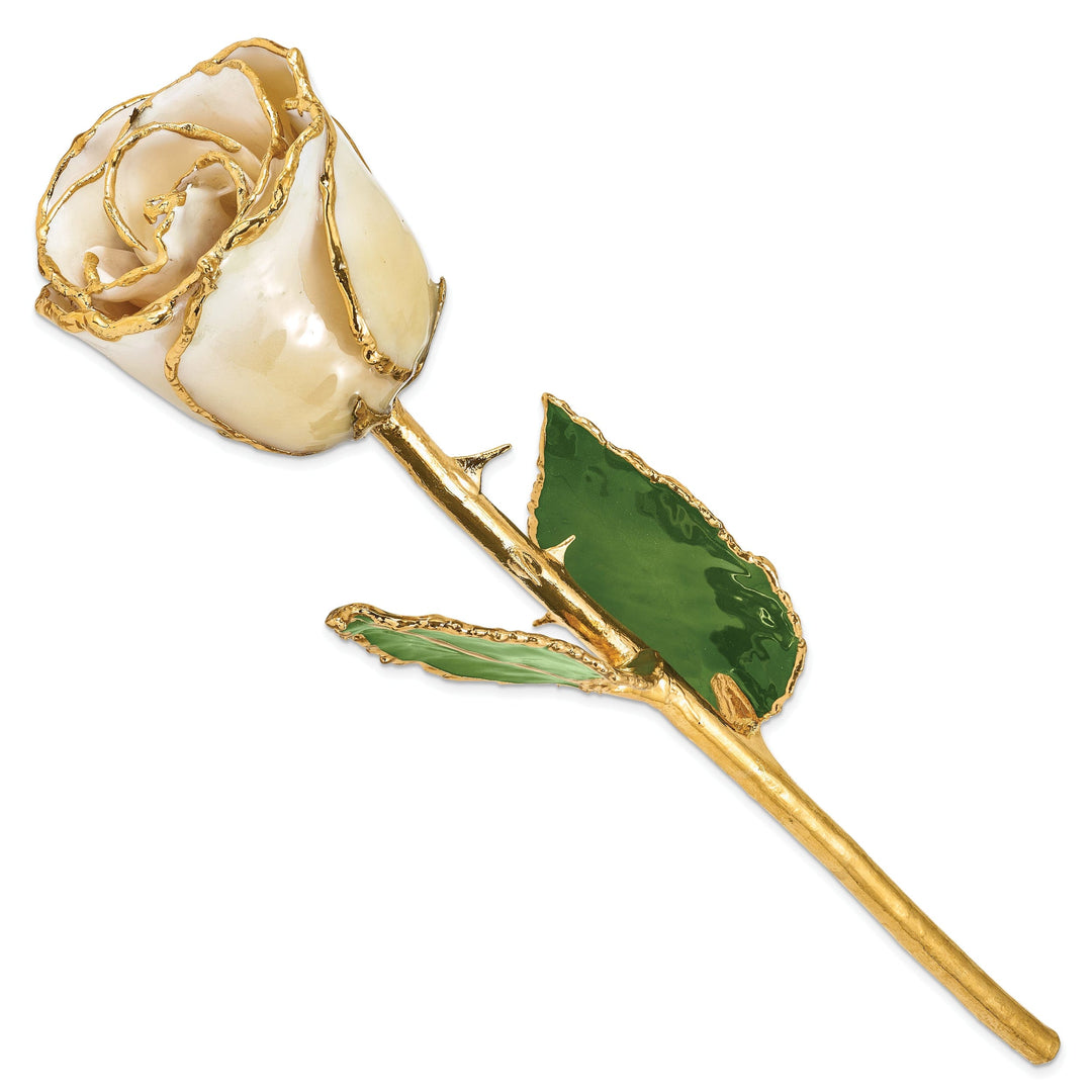 24k Gold Plated Trimmed Cream and White Rose