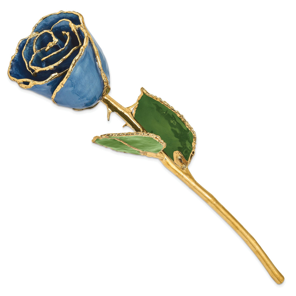 24k Gold Plated Trimmed Navy Pearl Rose