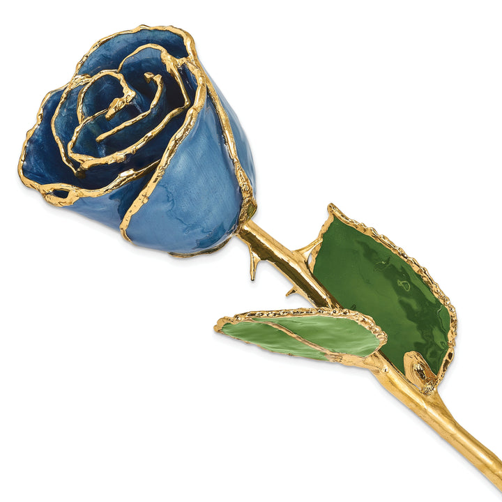 24k Gold Plated Trimmed Navy Pearl Rose