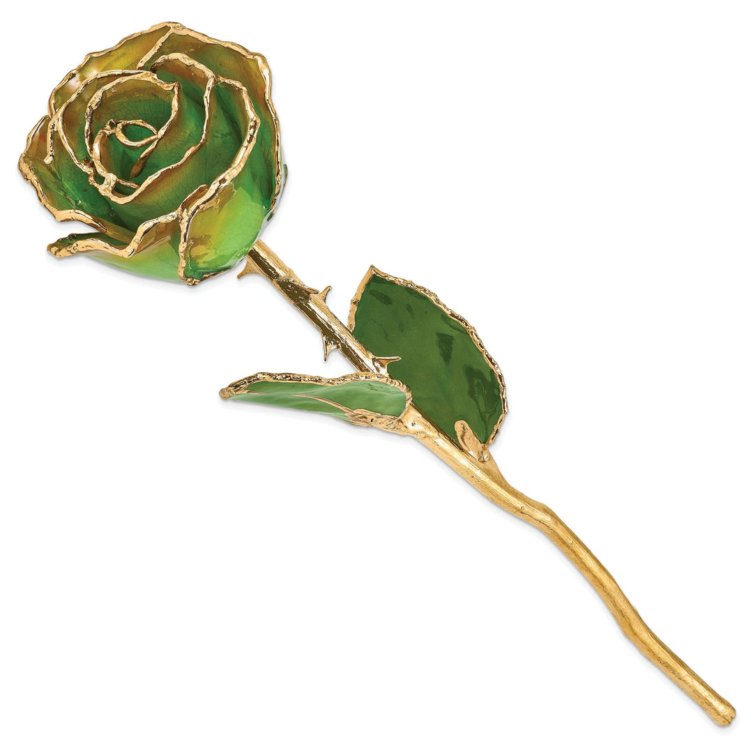 24k Gold Plated Trimmed Peridot and Orange Rose