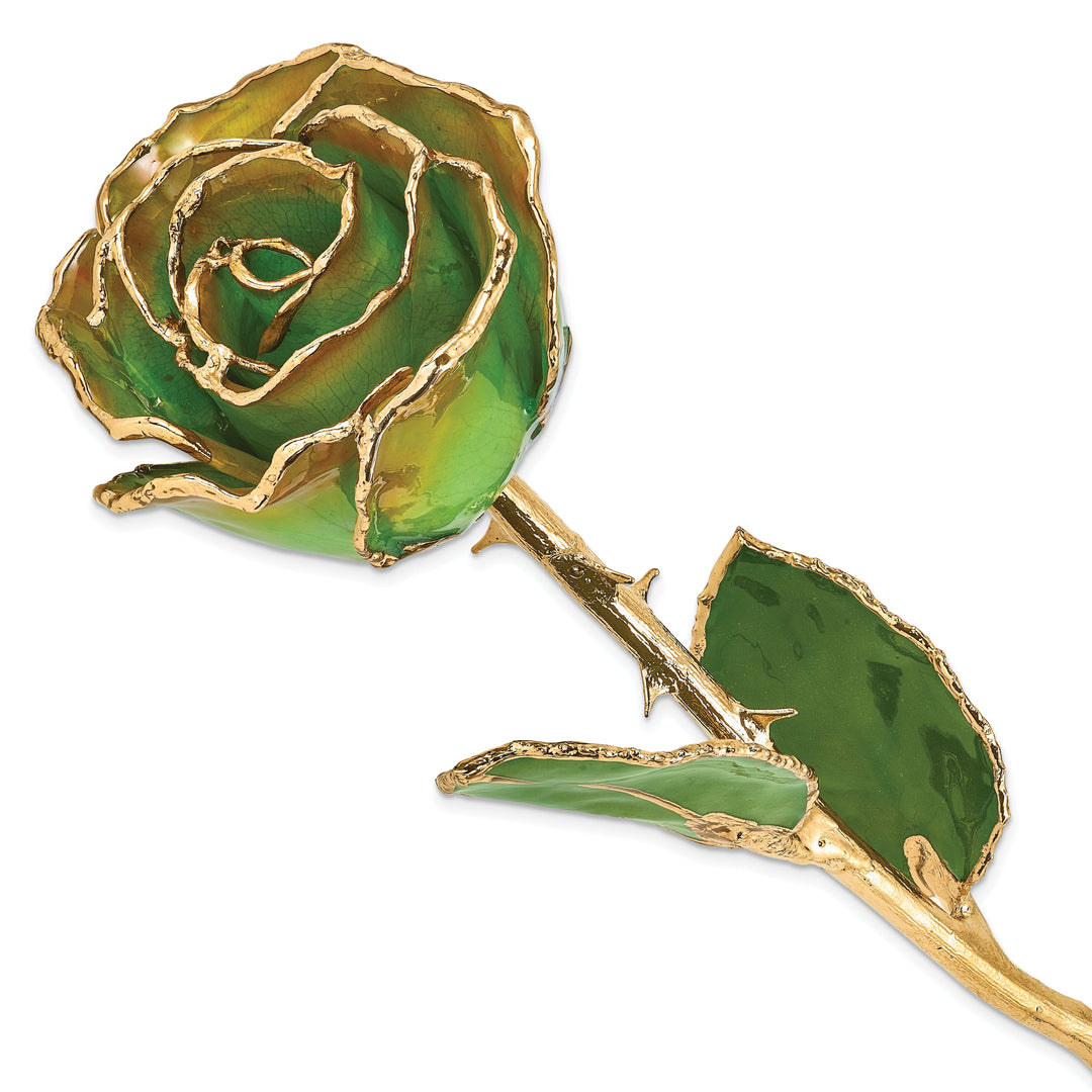 24k Gold Plated Trimmed Peridot and Orange Rose
