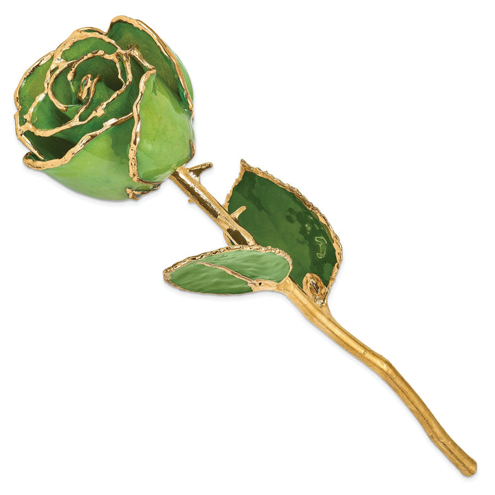 24k Gold Plated Trimmed Peridot Topaz Rose