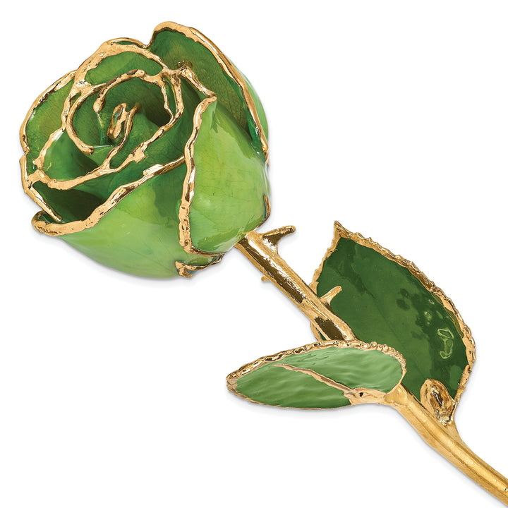 24k Gold Plated Trimmed Peridot Topaz Rose