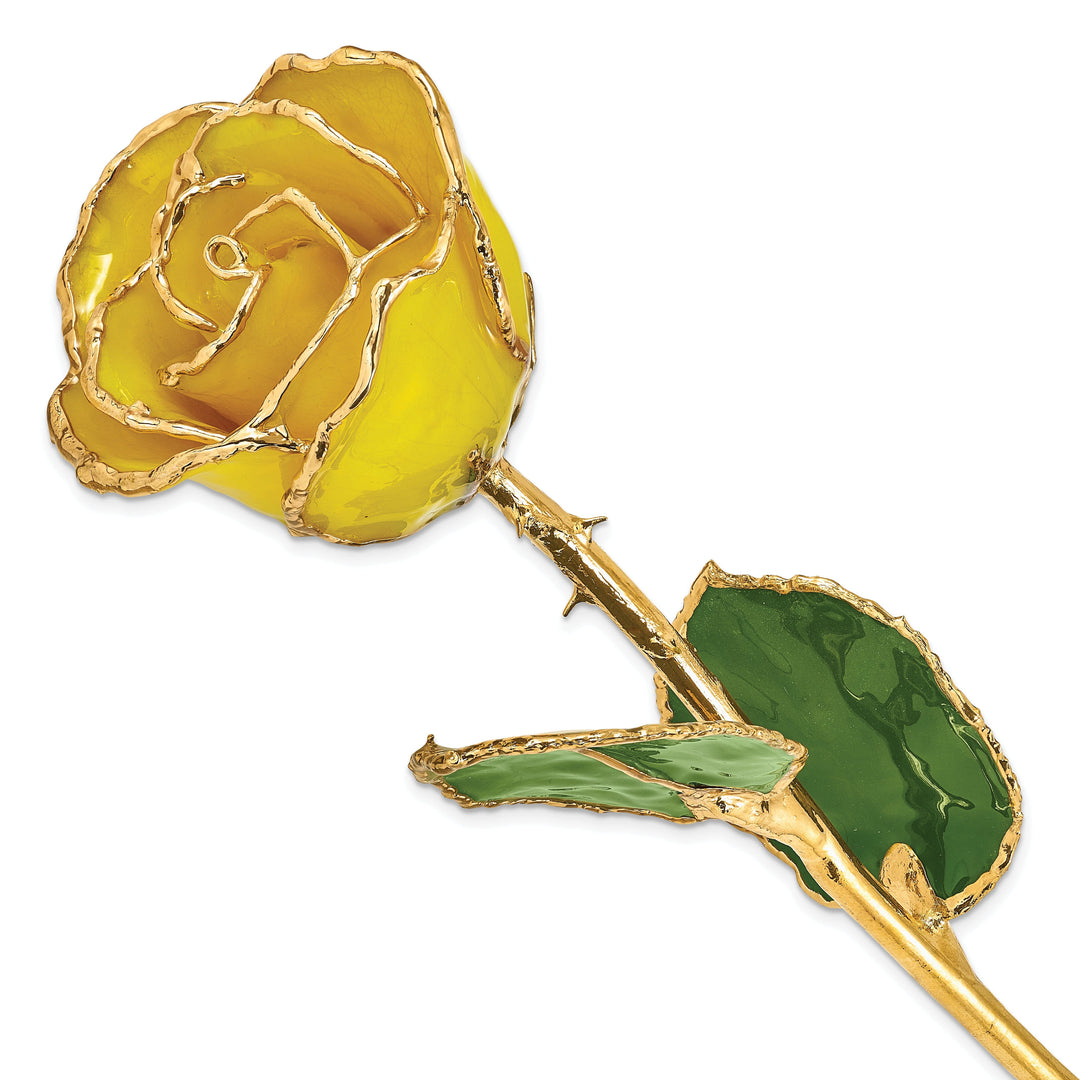 Lacquer Dipped 24k Gold Plated Trim Yellow Rose
