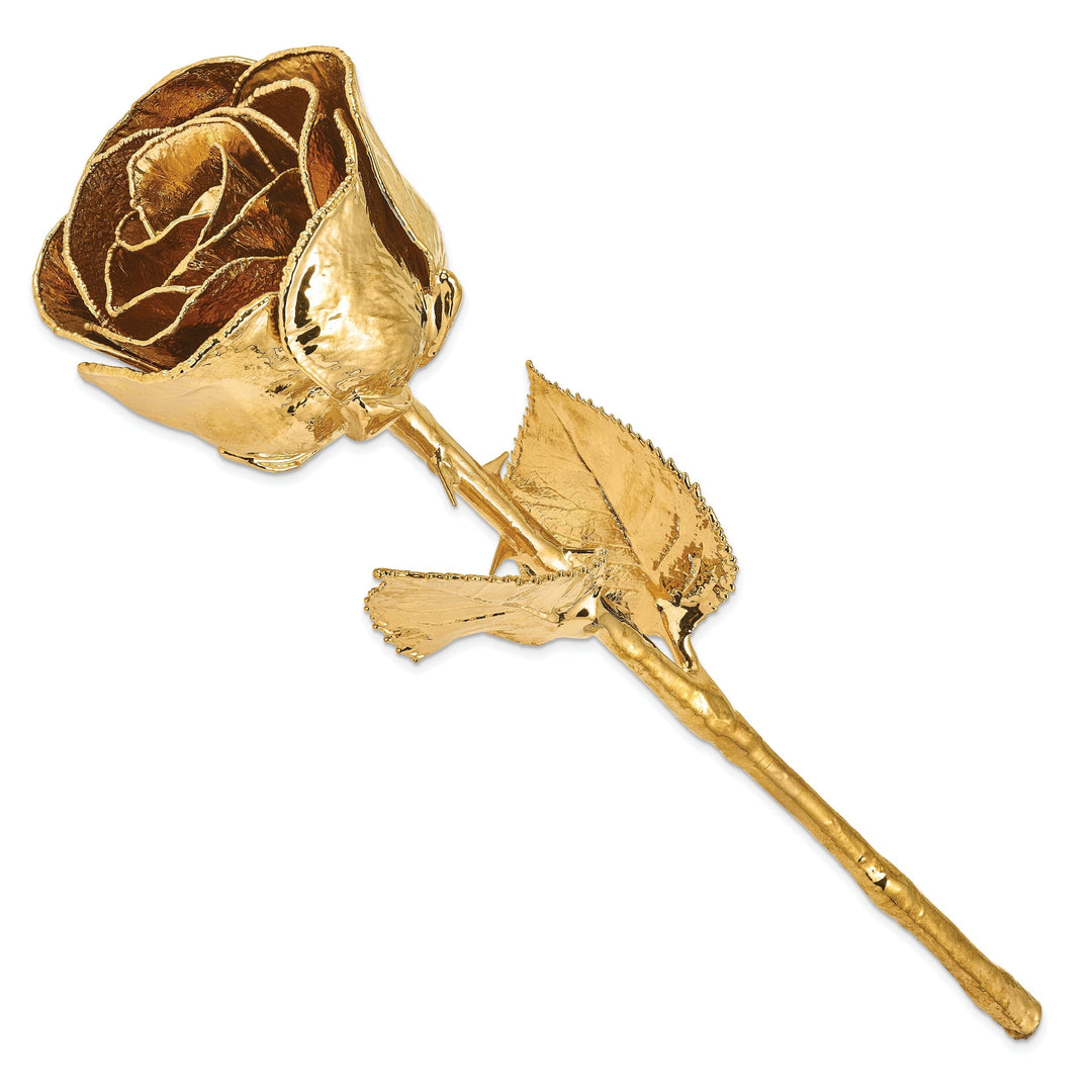 24k Gold Plated Trim Rose