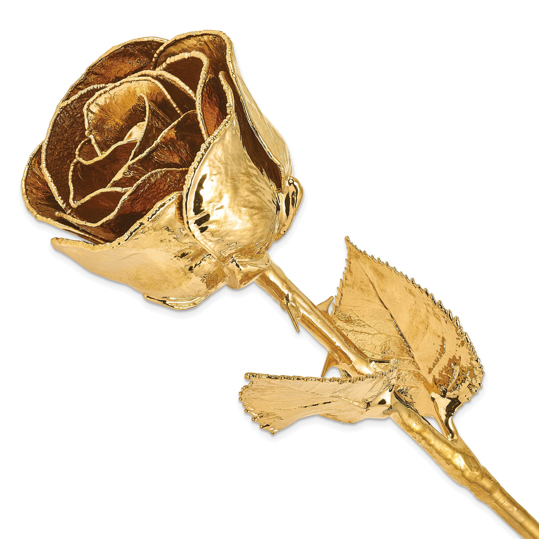 24k Gold Plated Trim Rose