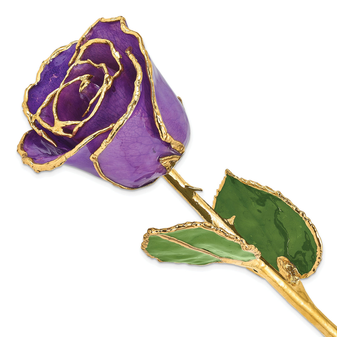 24k Gold Plated Trim Lilac Rose