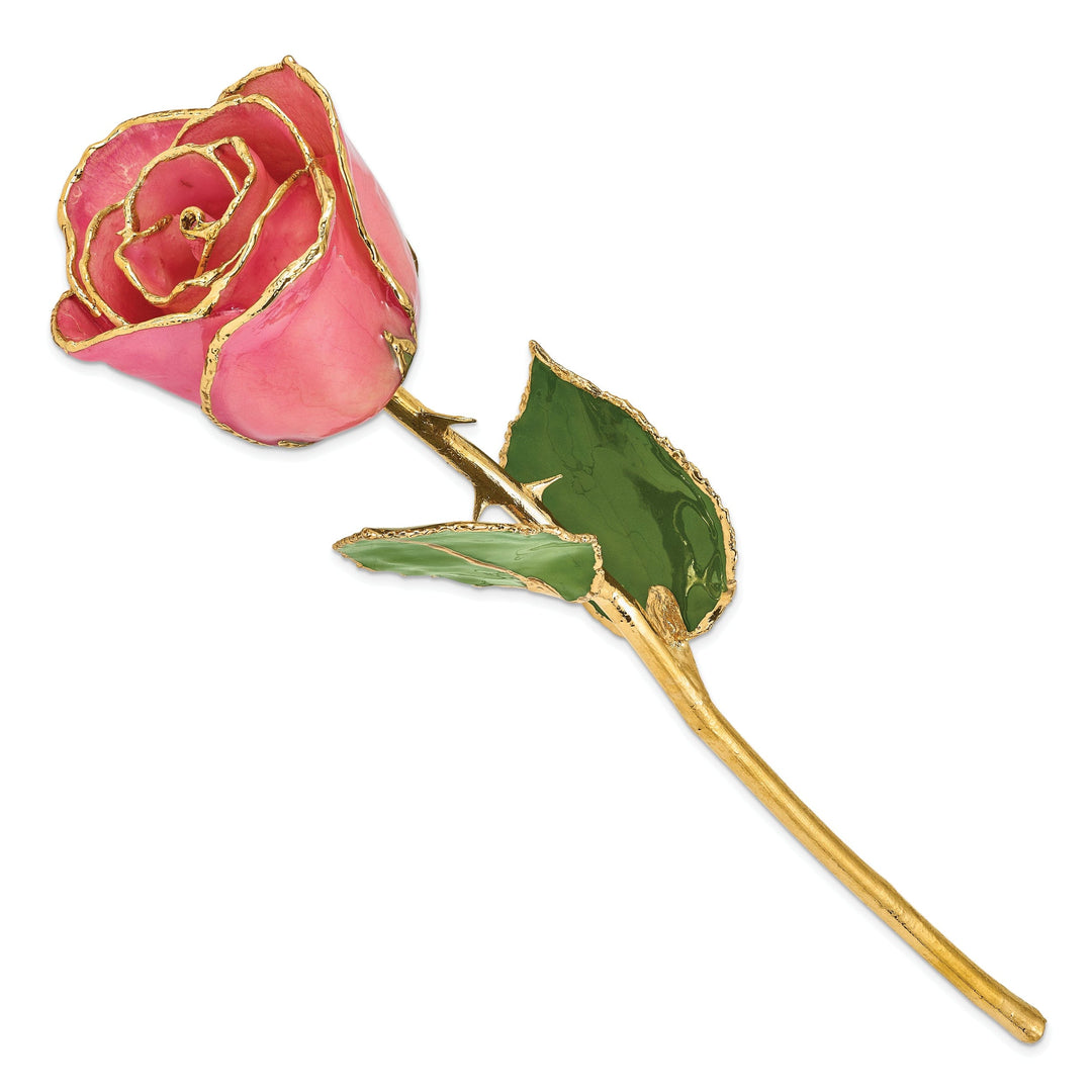 24k Gold Plated Trim Pink Rose