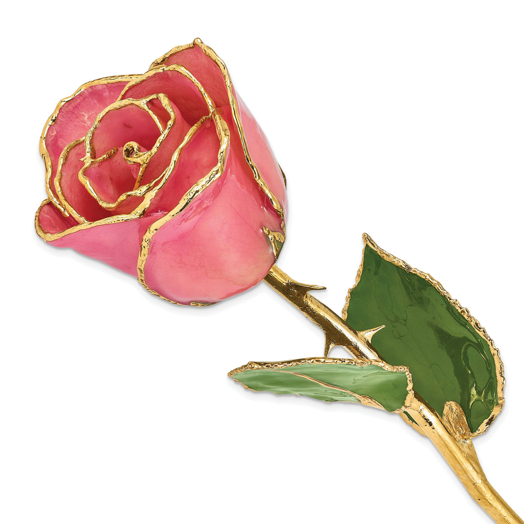 24k Gold Plated Trim Pink Rose