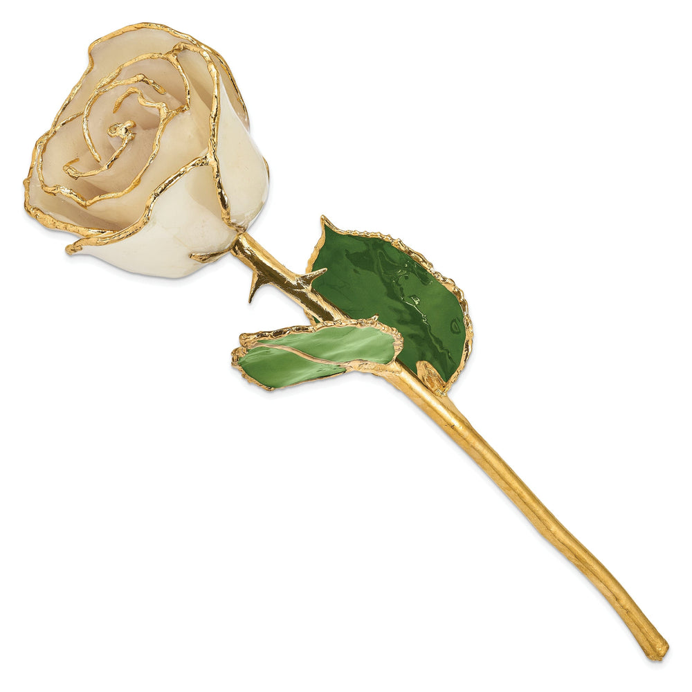 24k Gold Plated Trim White Rose