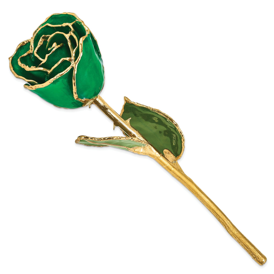 24k Gold Plated Trim Green Rose