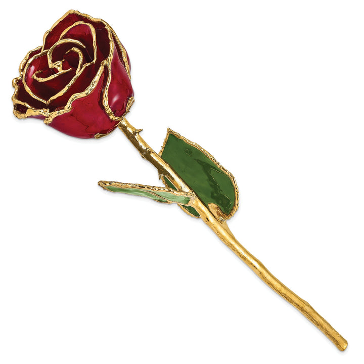 24k Gold Plated Trim Burgundy Rose