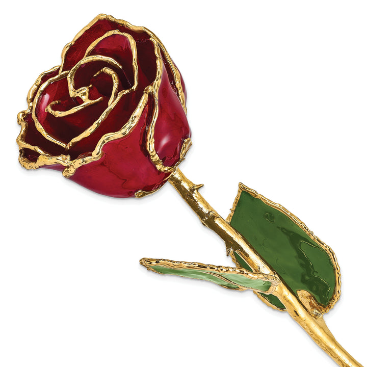 24k Gold Plated Trim Burgundy Rose