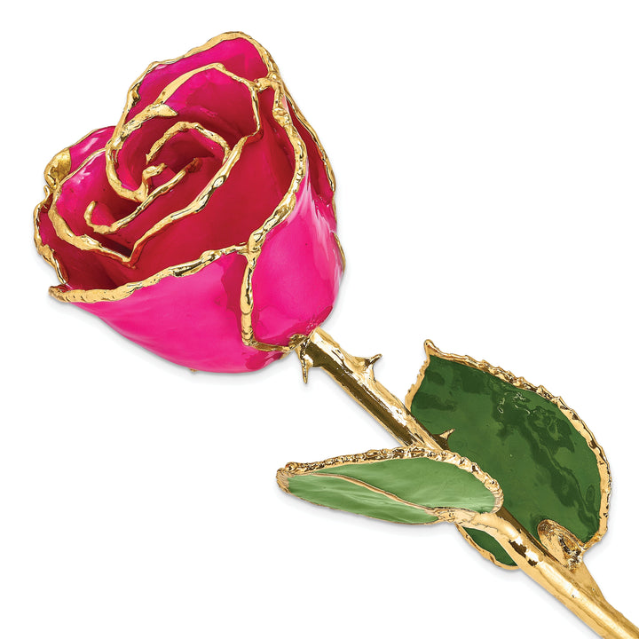 24k Gold Plated Trim Lilac Pink Rose