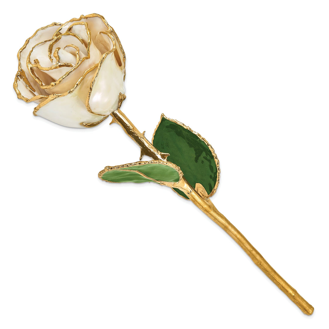 24k Gold Plated Trim White Satin Rose