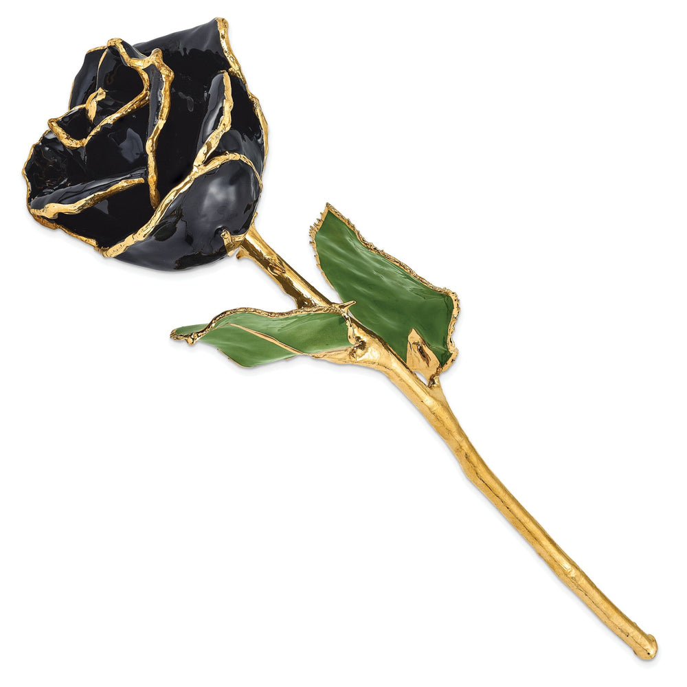 24k Gold Plated Trim Black Rose