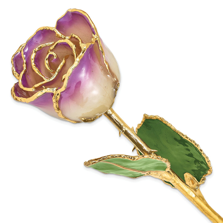 24k Gold Plated Trim Amethyst Rose