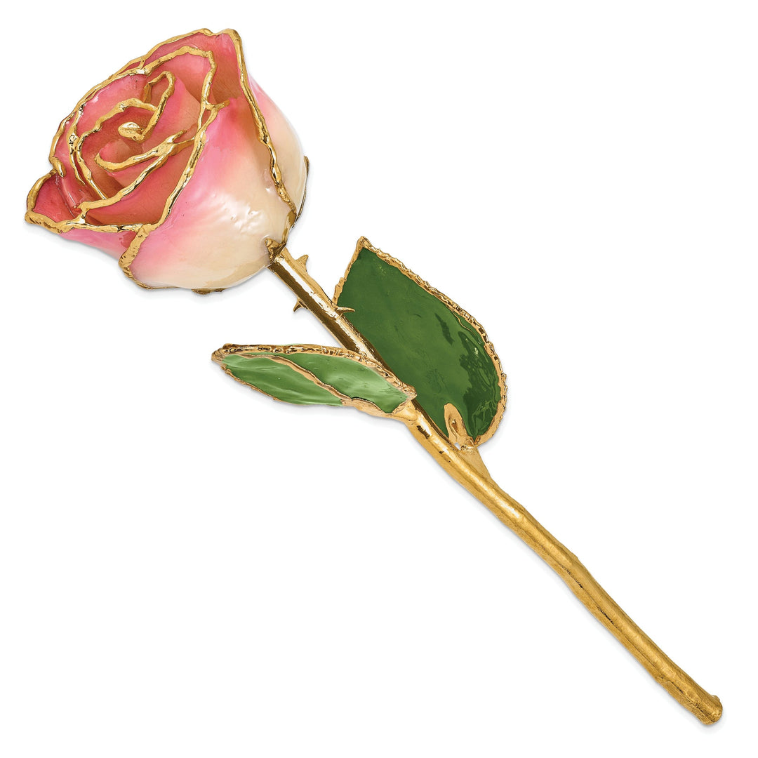 24k Gold Plated Trim White Pink Rose