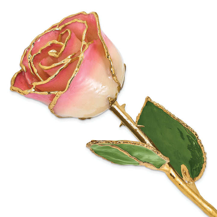 24k Gold Plated Trim White Pink Rose