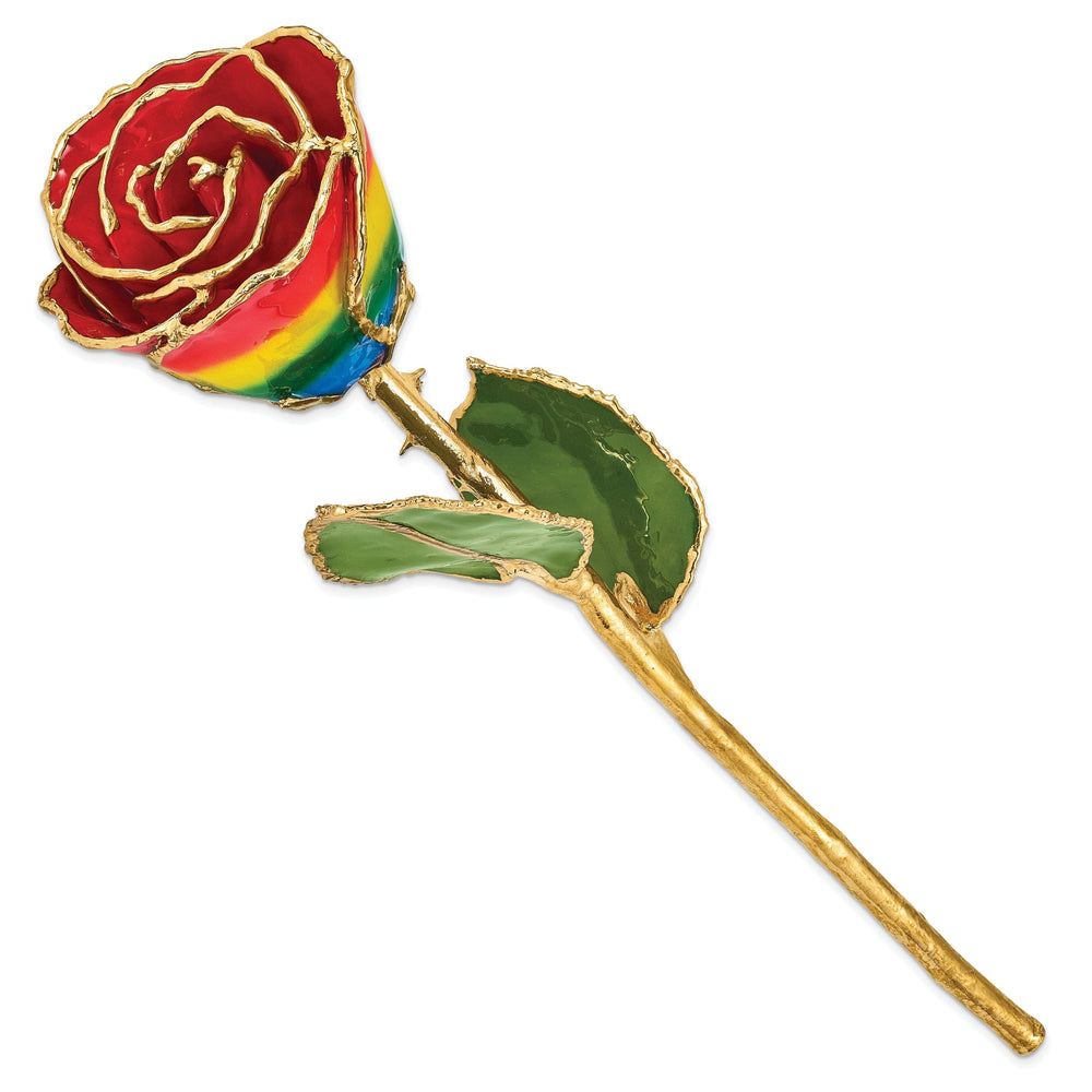 24k Gold Plated Trim Rainbow Rose