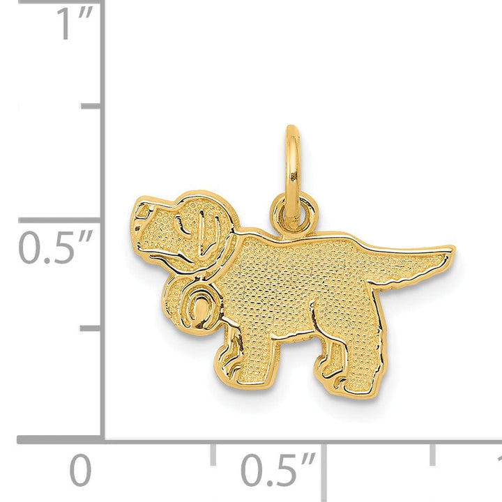 14k Yellow Gold Textured Polished Finish Saint Bernard Charm Pendant