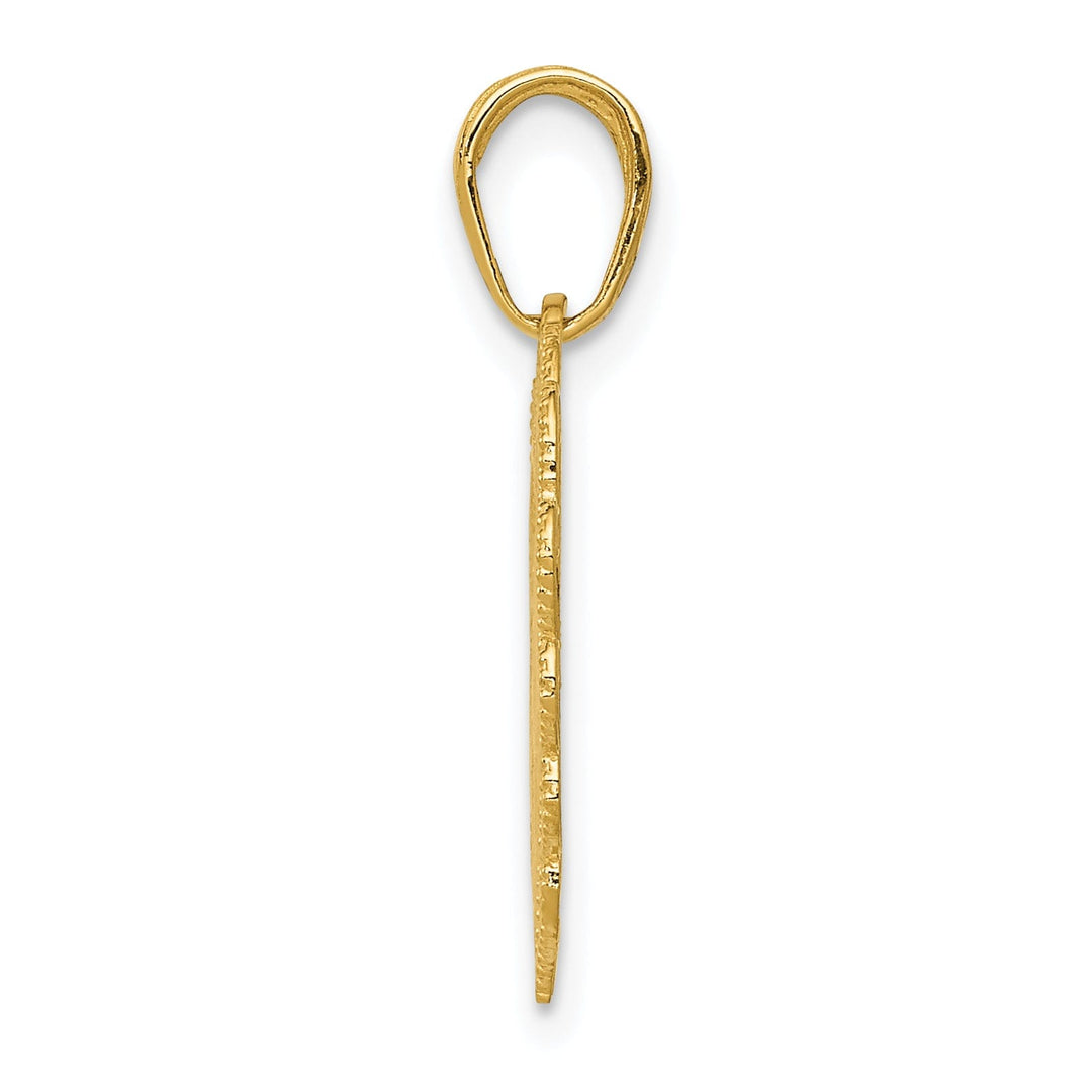 14k Yellow Gold Registered Nurse Heart Pendant