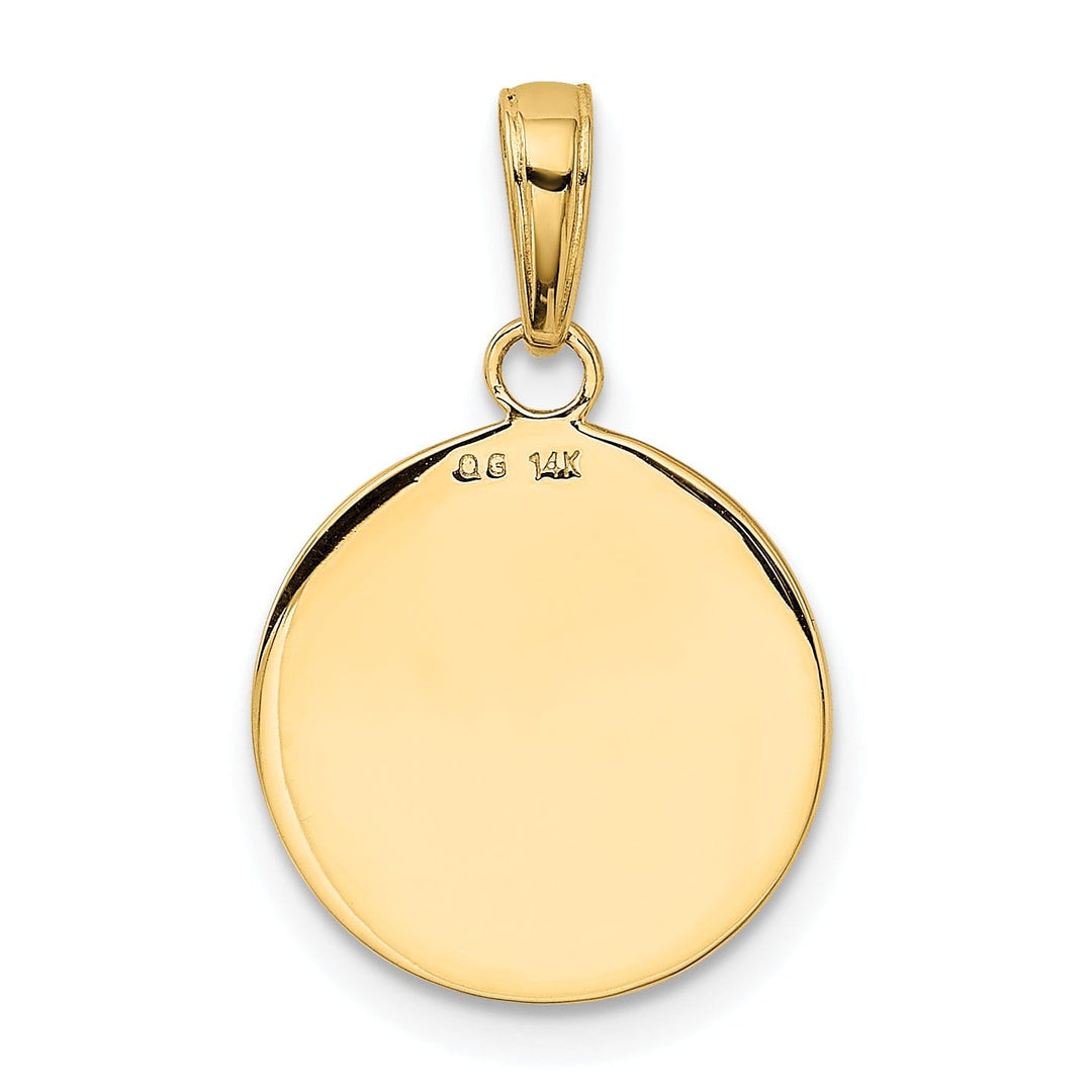 14k Yellow Gold Saint Francis Medal Pendant