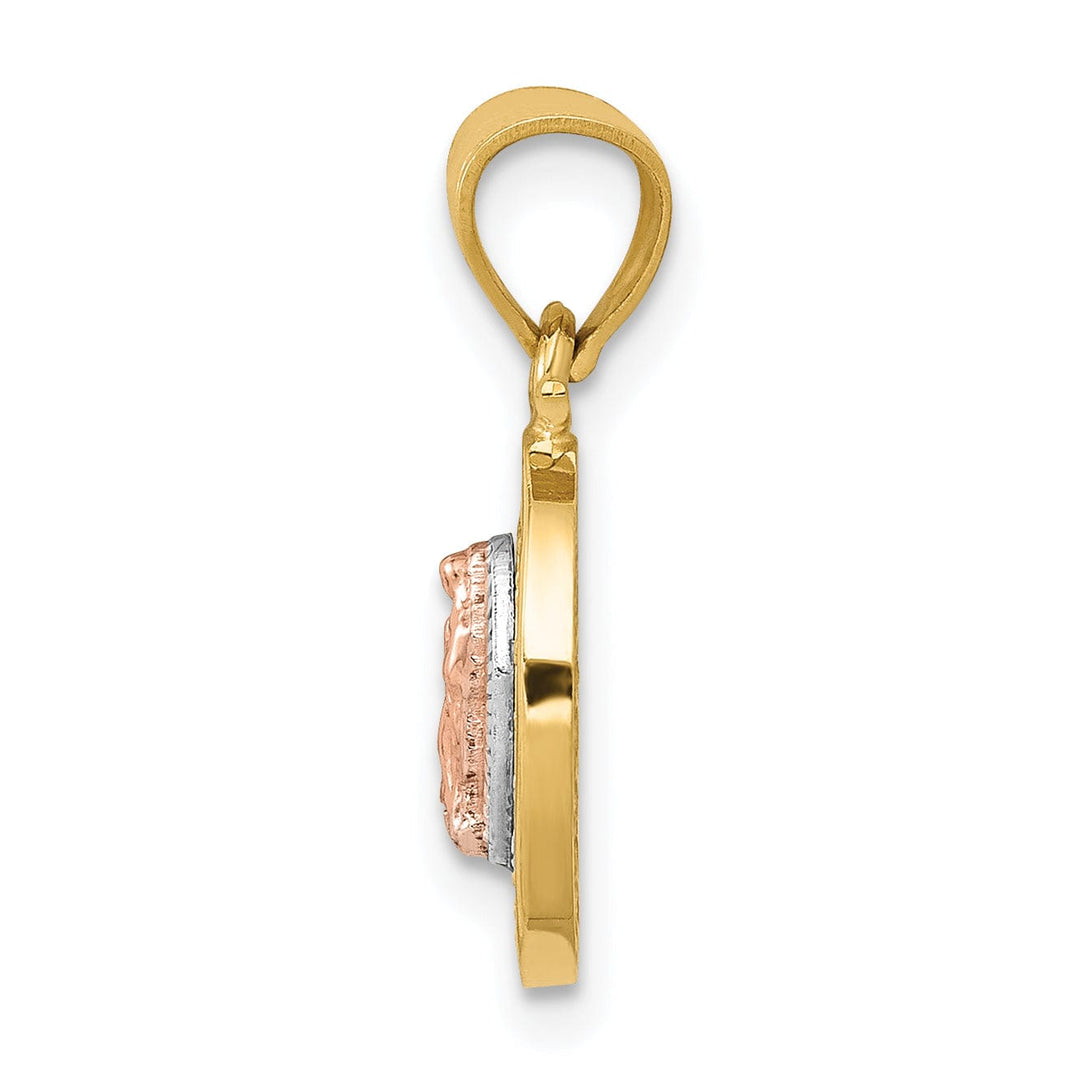 14k Two Tone Gold Oval Lady of Guadalupe Charm