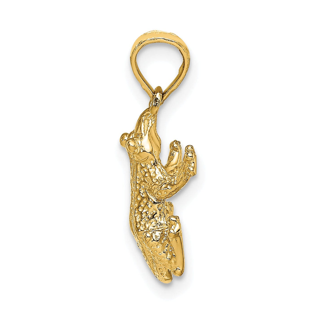 14K Yellow Gold Textured Polished Finish 2-Dimensional Top View Frog Charm Pendant