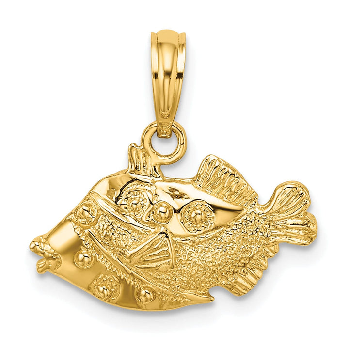 14K Yellow Gold 2-Dimensional Polished Textured Finish Fish Charm Pendant