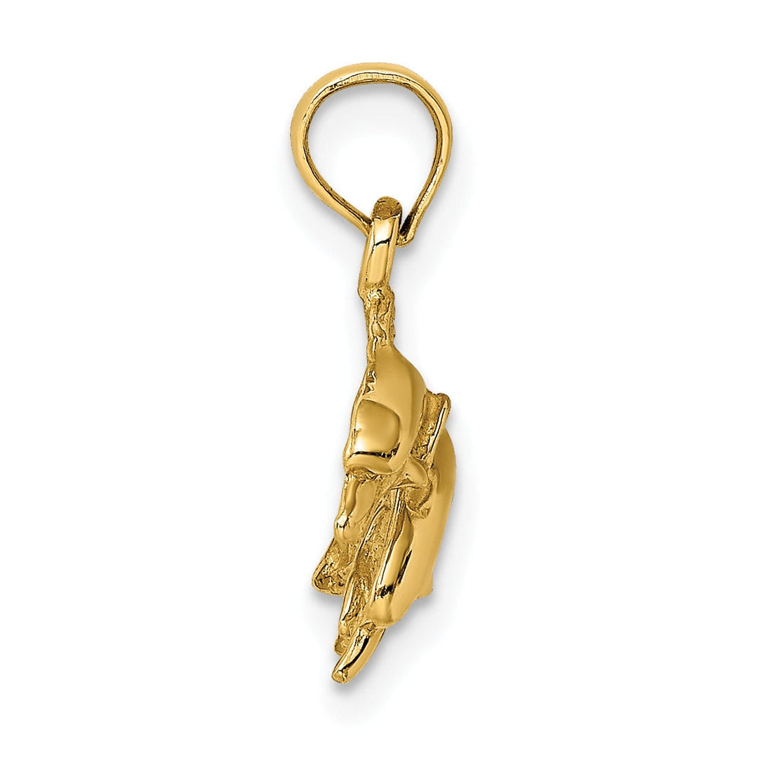 14K Yellow Gold 2-Dimensional Textured Polished Finish Double Dolphins Jumping Left Sided Charm Pendant