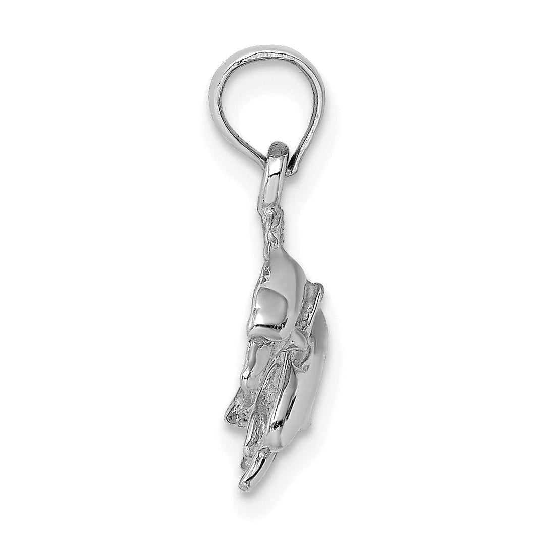 14K White Gold 2-Dimensional Textured Polished Finish Double Dolphins Jumping Left Sided Charm Pendant