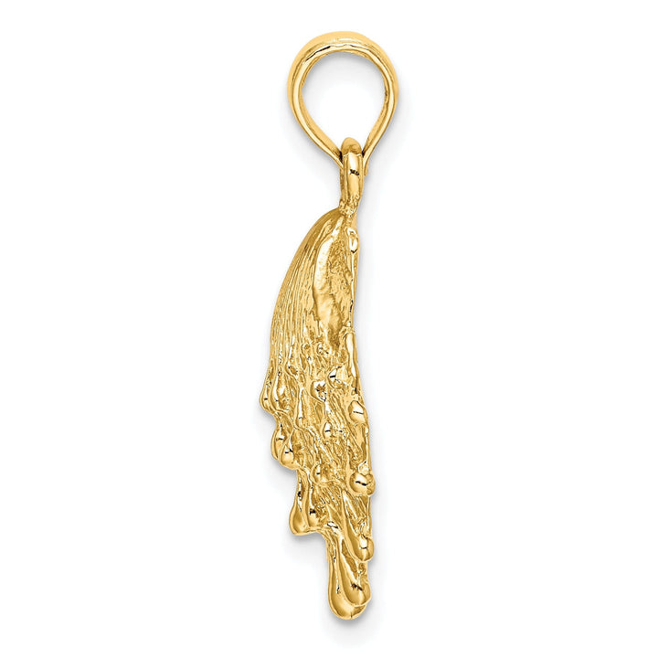 14K Yellow Gold Polished Textured Finish Lions Paw Sea Shell Charm Pendant