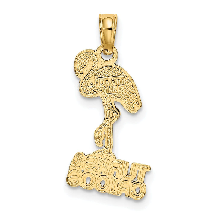 14K Yellow Gold Polished Finish TURKS & CAICOS Under Flamingo Bird Charm Pendant